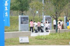 临环湖露营区大草坪将变身“湖”中秋晚会现场